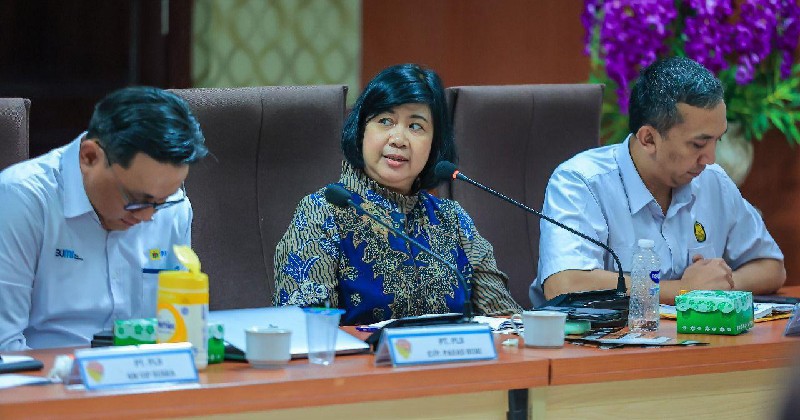 Ahli UGM: Lumpur Panas di Flores Tak Berkaitan dengan Pengeboran Geothermal
