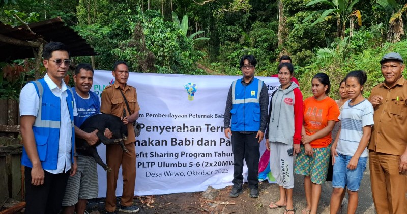 Program Ternak di Desa Wewo Sekitar Pengembangan PLTP Ulumbu Tunjukkan Dampak Positif